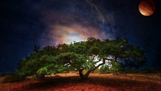 tree-art-planet-light-fantasy-scifi-galaxy-sky-stars-wallpaper-1